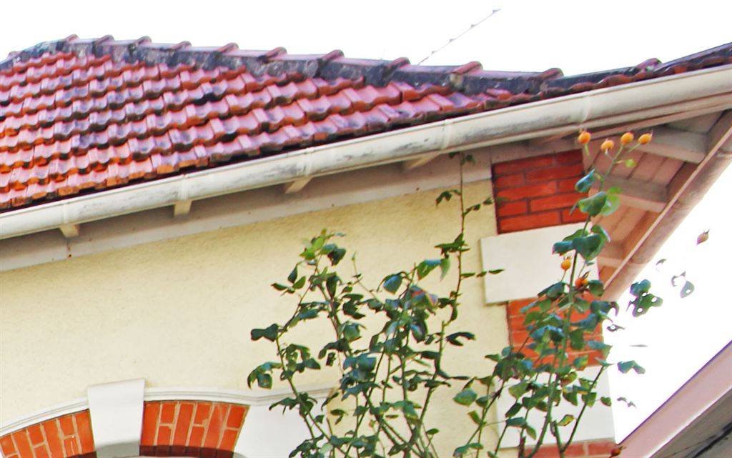 arcachonnaises à la vente sur le Bassin Arcachon