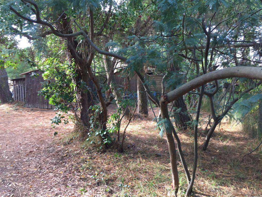 villa familiale avec grand jardin en vente Lège Cap ferret