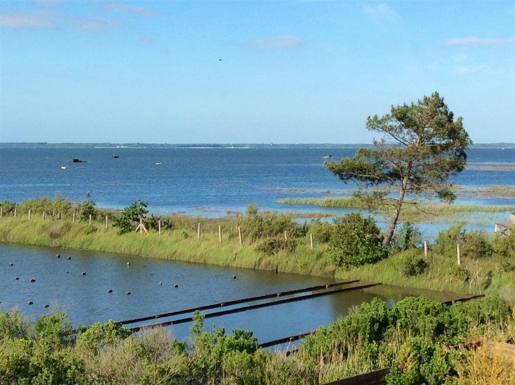 Villa en bois à vendre en 1ère ligne du Bassin d'Arcachon avec piscine