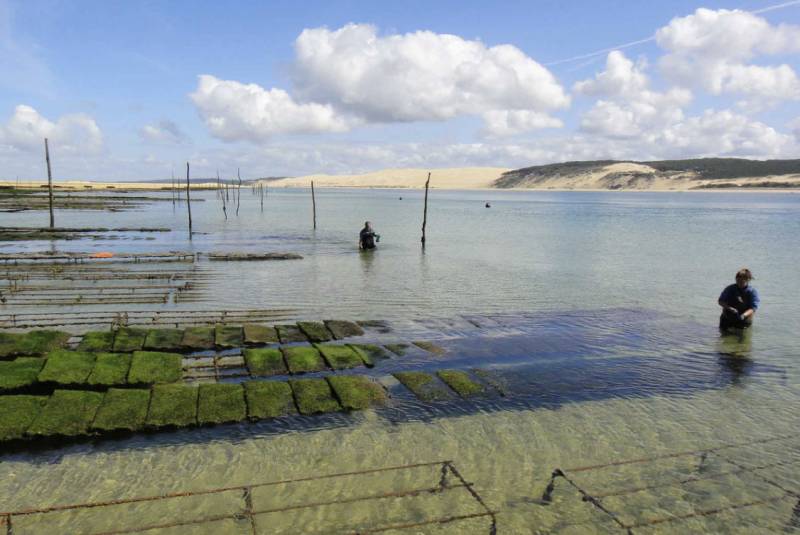 ostréiculteur cap ferret - J.m. et Maria Douet