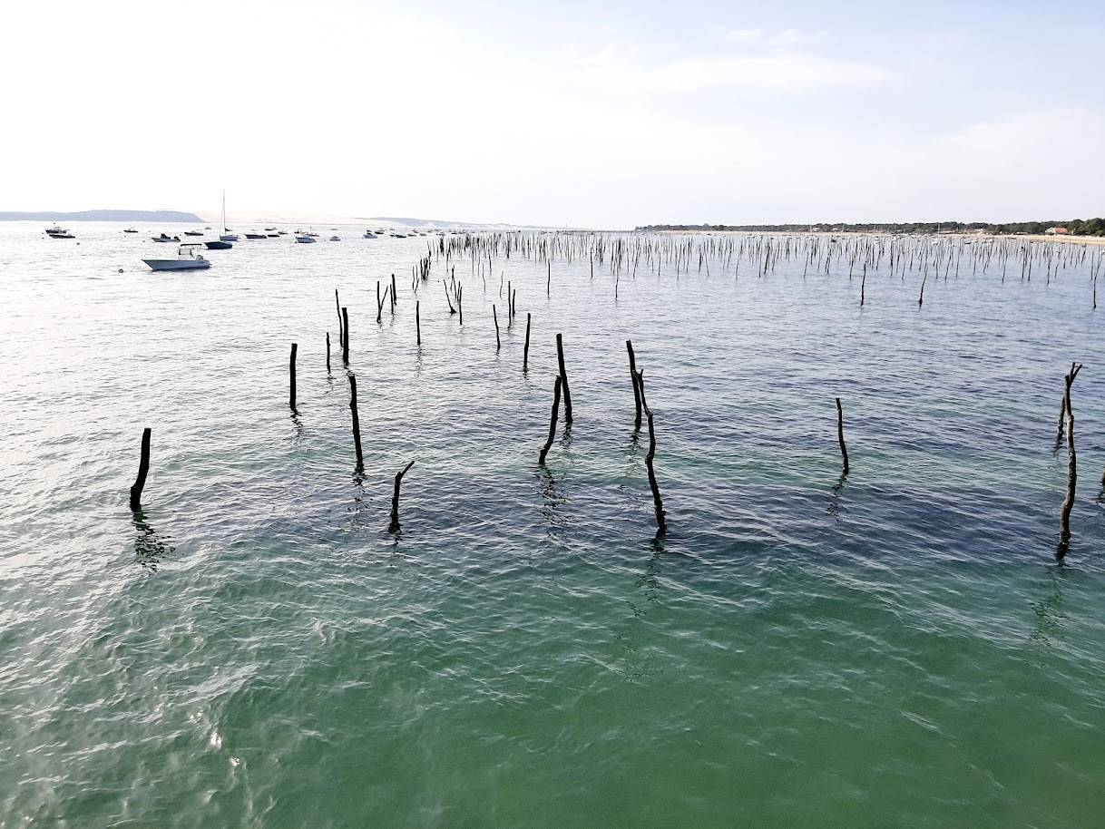 Le village de l'Herbe au Cap Ferret, une découverte à ne pas manquer