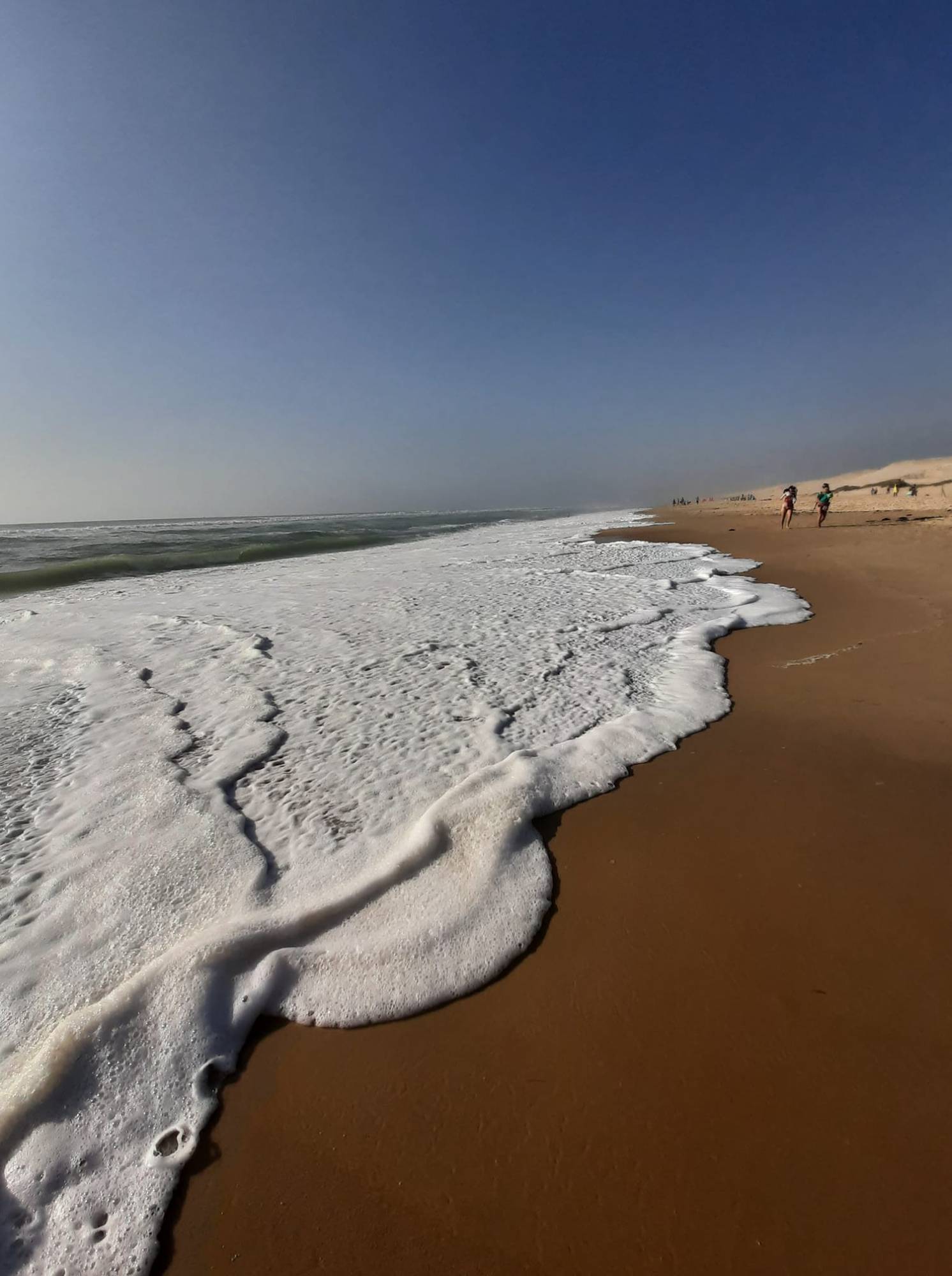 Biscarrosse plage Station balnéaire landaise proche de la dune du Pilat