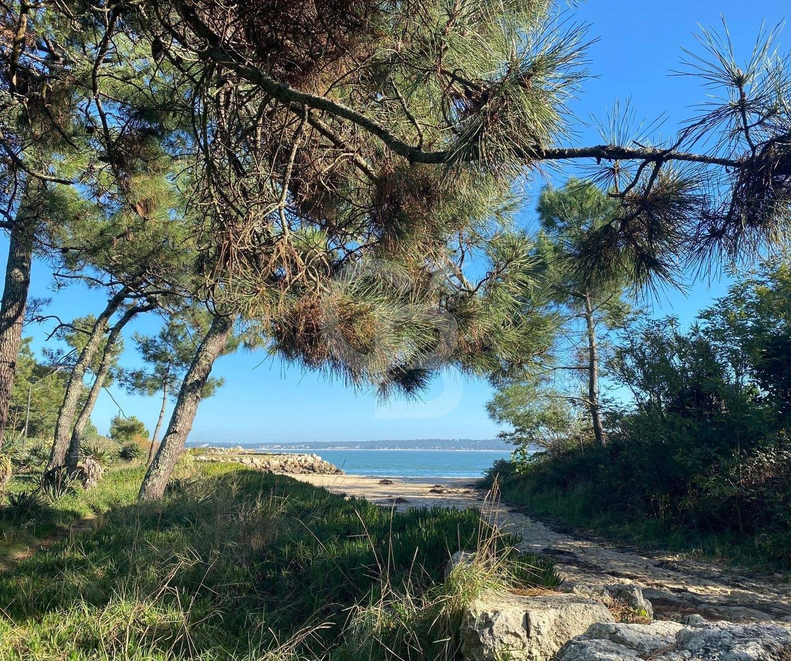 cap ferret 44 hectares