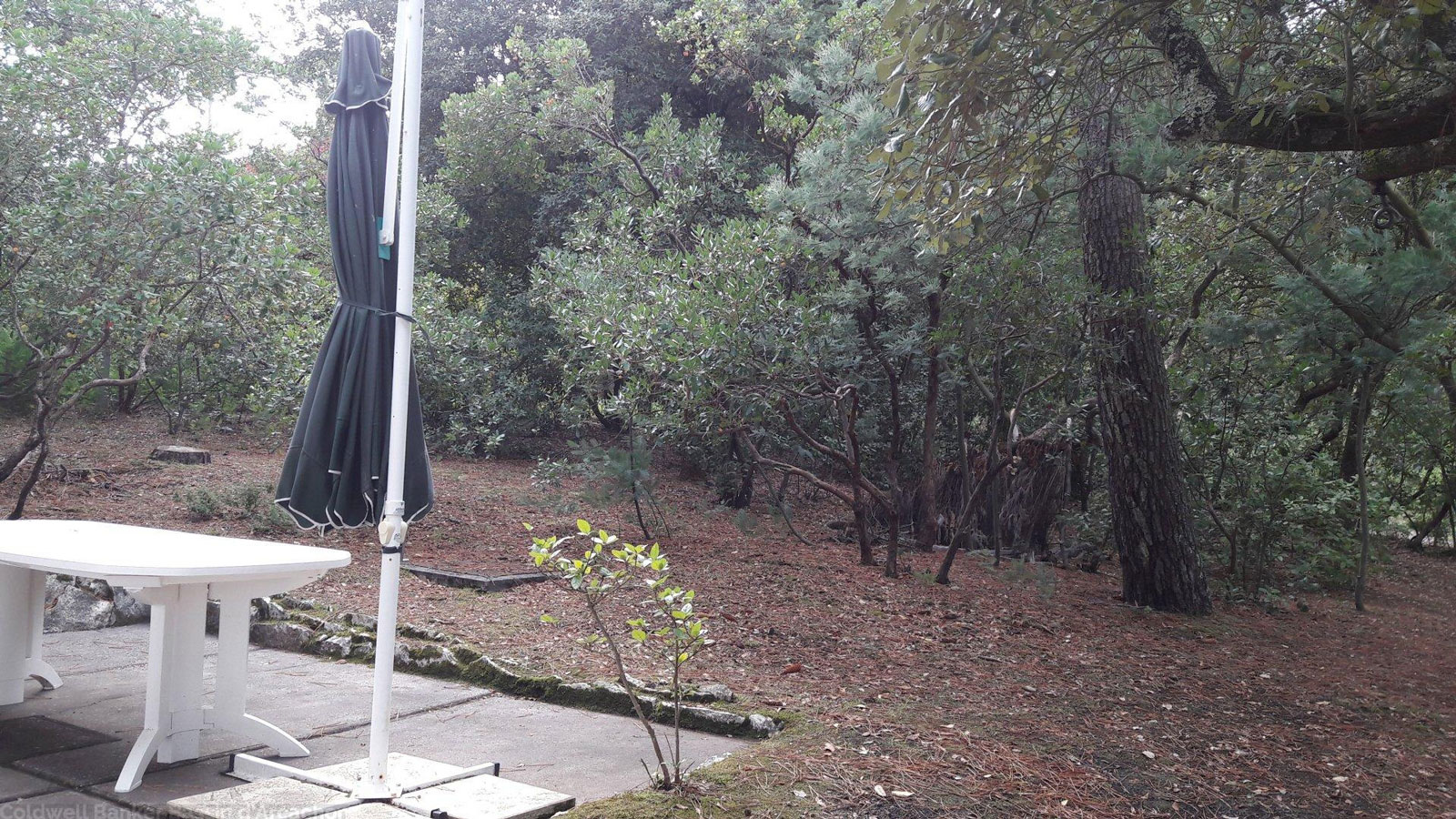 Recherche maison à restaurer sur le Bassin d'Arcachon pyla sur mer