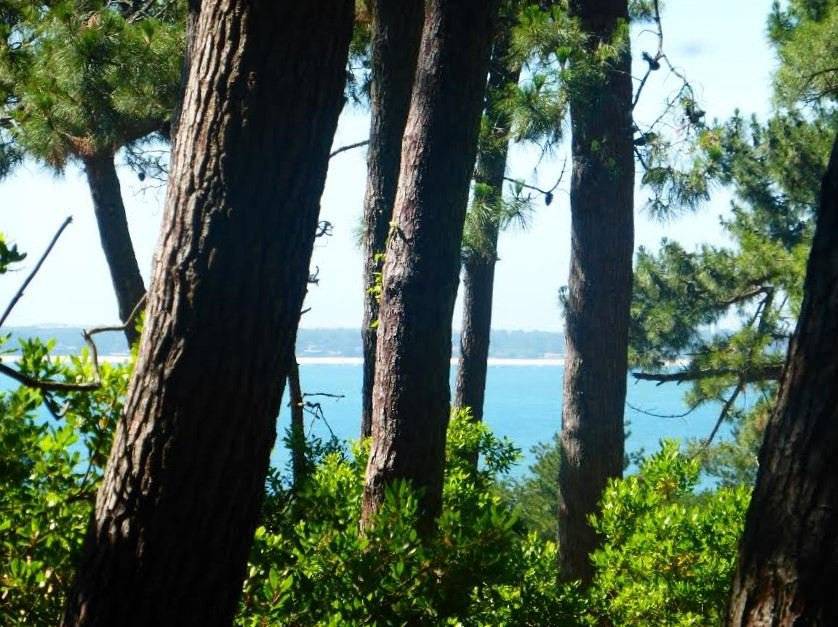 Projet de villa neuve PYLA SUR MER