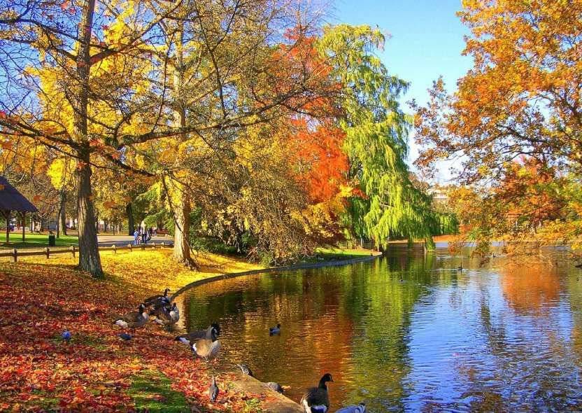 Vente superbe maison de maitre en pierre 6 chambres PROCHE BORDEAUX LE BOUSCAT