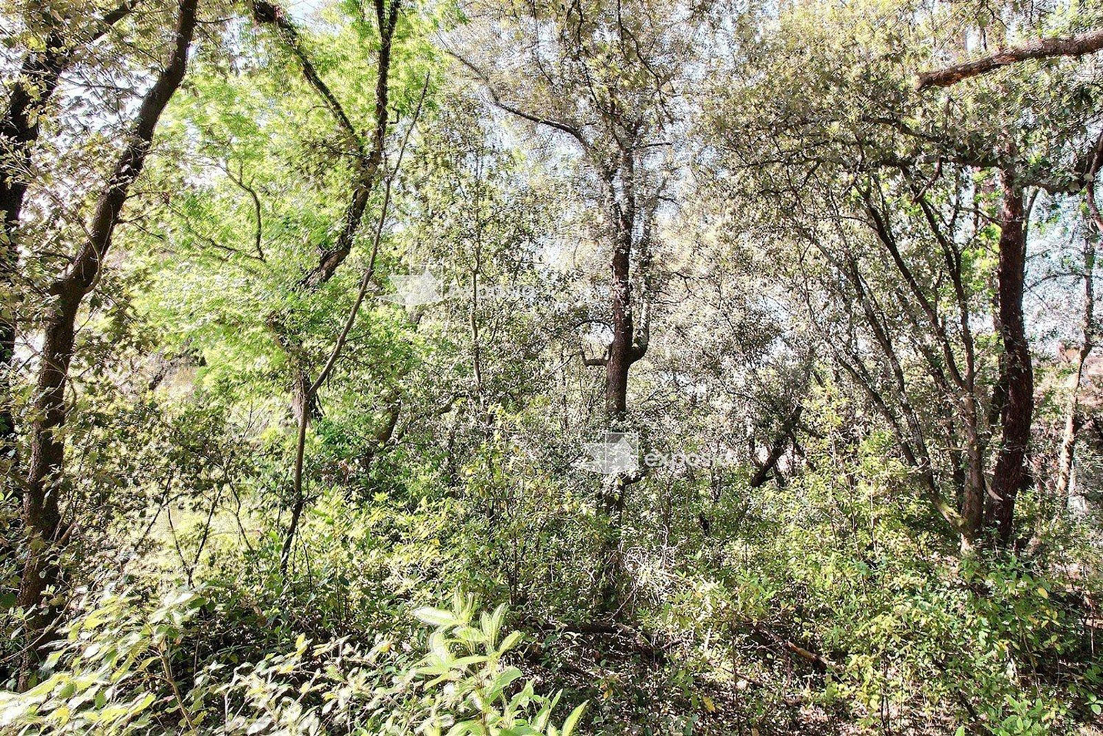 terrain constructible de plus de 1000 m2 à vendre au cercle de voile pyla sur mer