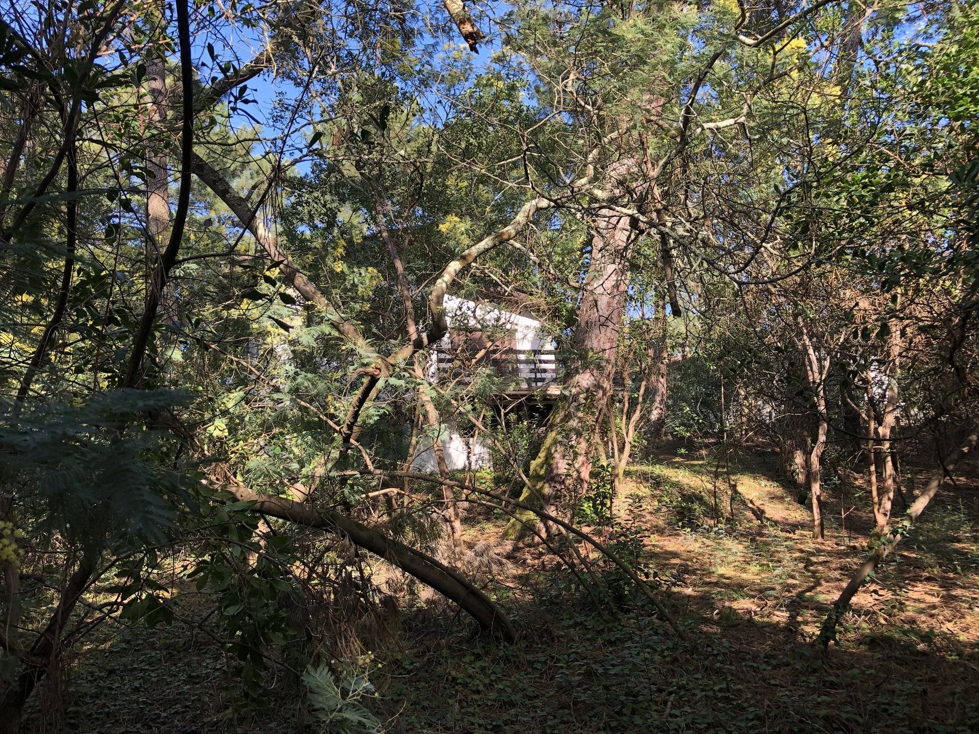 Maison des années 70 à rénover ou reconstruire proche plage CAP FERRET