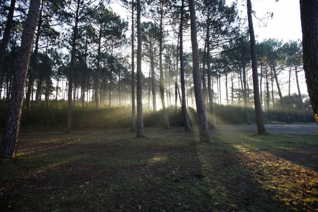 Terrain viabilisé constructible à vendre ARCACHON ABATILLES