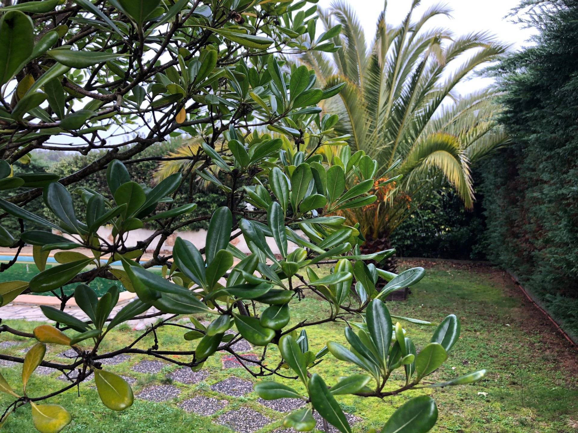Grande villa familiale à rafraîchir à vendre CAP FERRET CENTRE