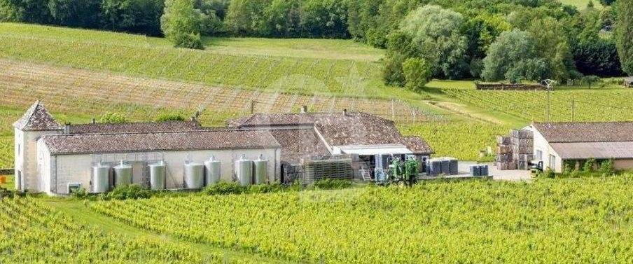 Propriété viticole de 30 hectares à vendre AOC CÔTES DE CASTILLON
