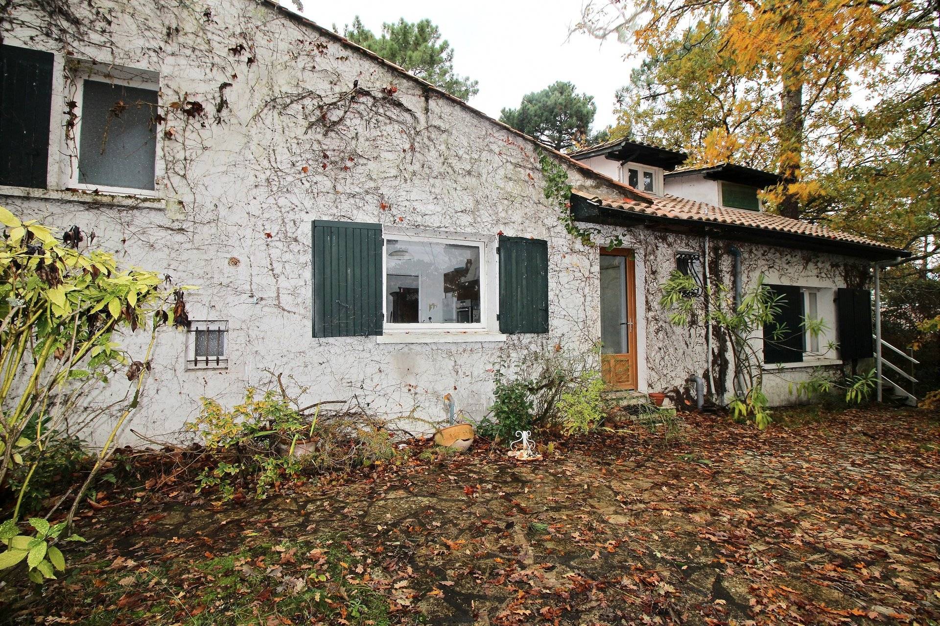 maison gaume à vendre à arcachon