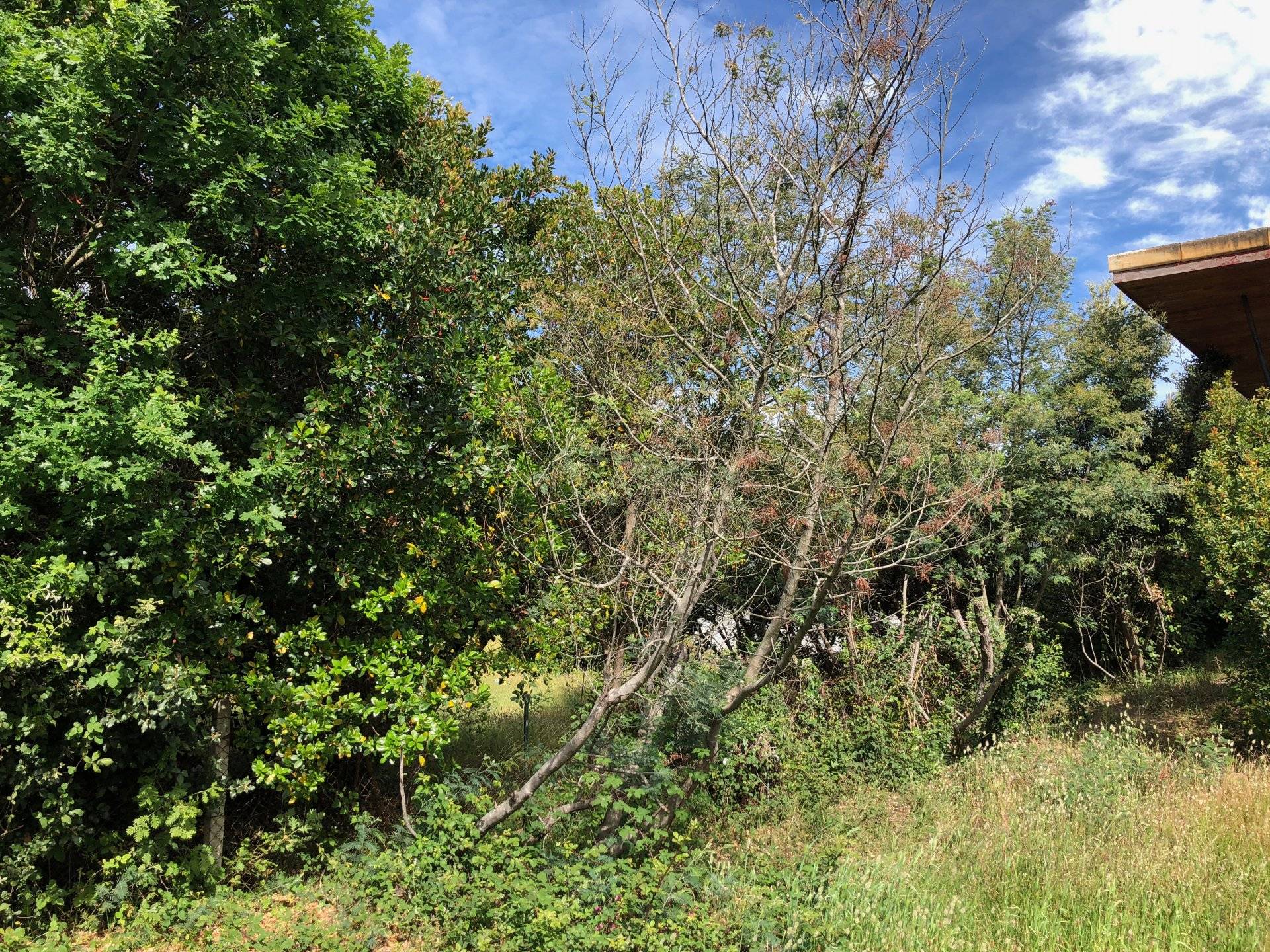 Recherche un terrain en plein centre du cap ferret pour construire