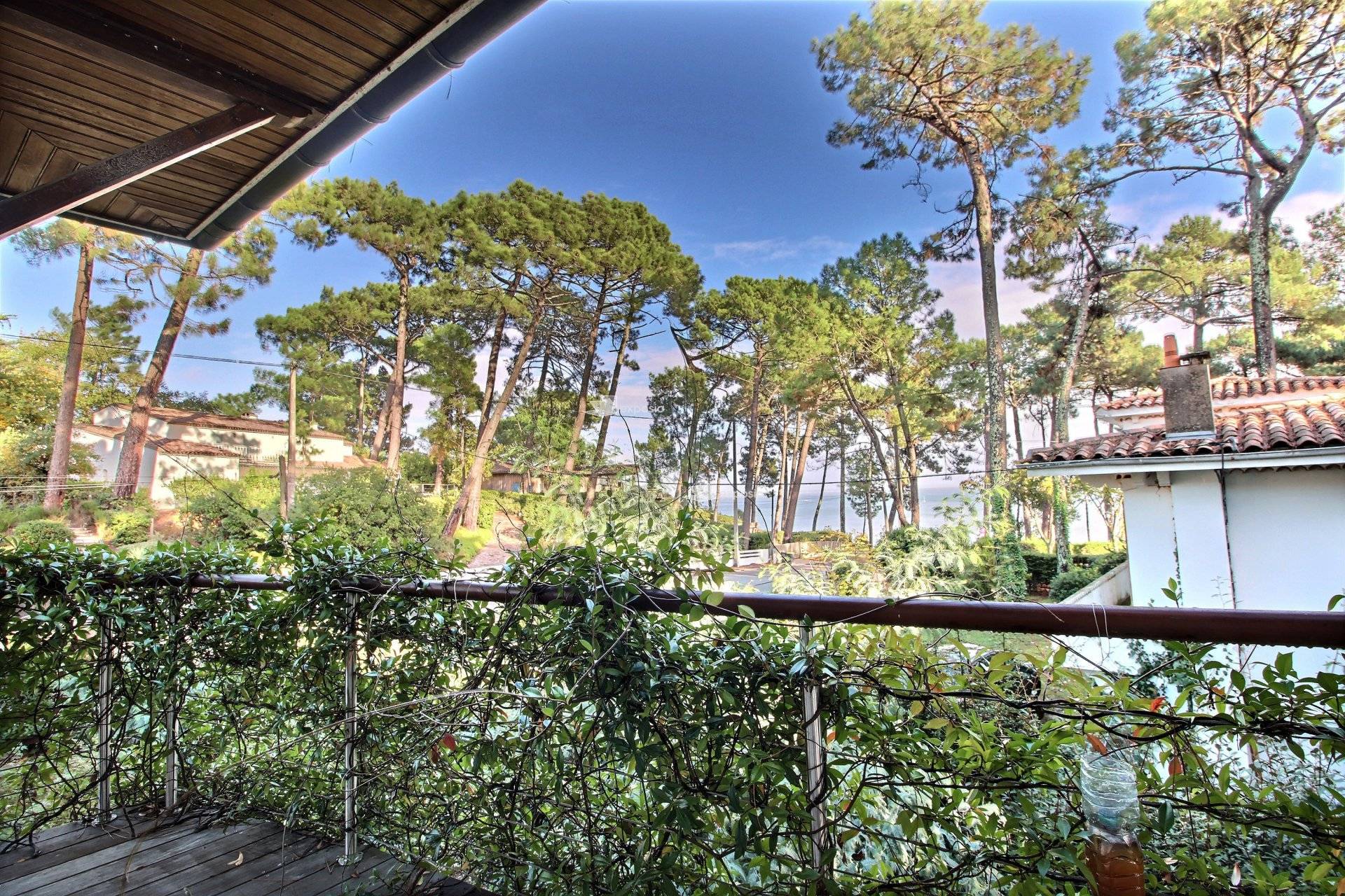 Recherche villa à vendre vue mer au cap ferret