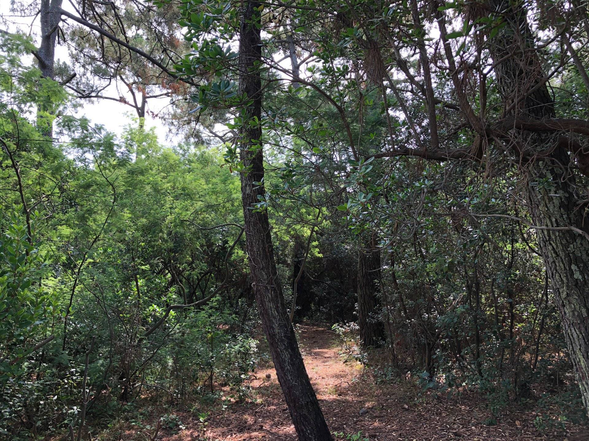 Achat d'un terrain au Cap ferret