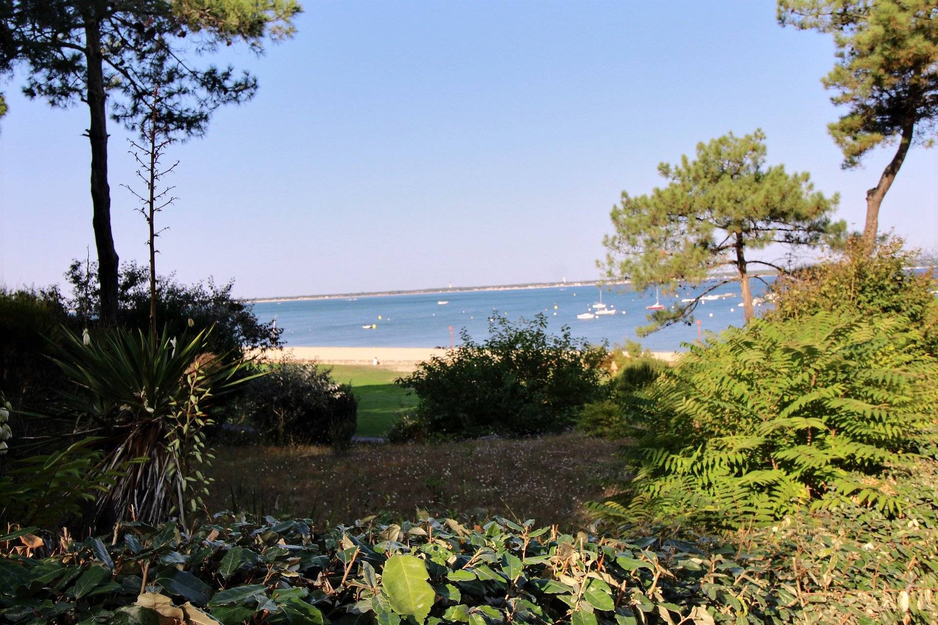 vente appartement les pieds dans l'eau arcachon