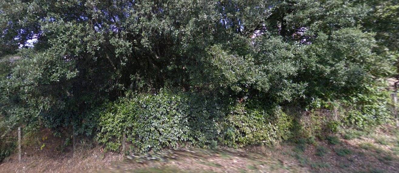 terrain constructible à pyla sur mer