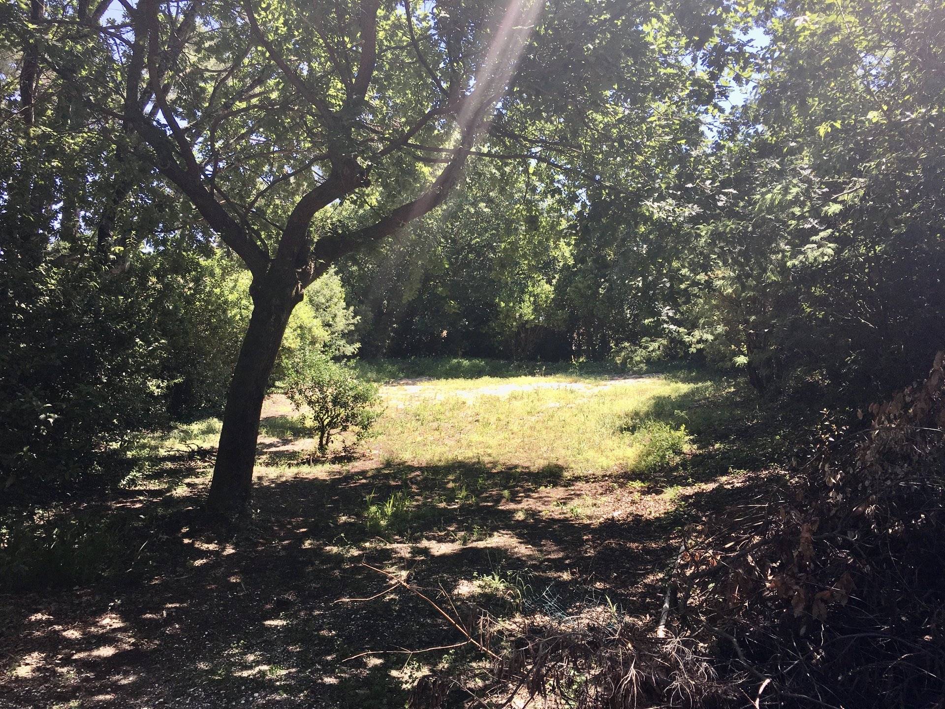 Terrain constructible à vendre à 50 mètres de la plage LEGE CAP FERRET LE CANON