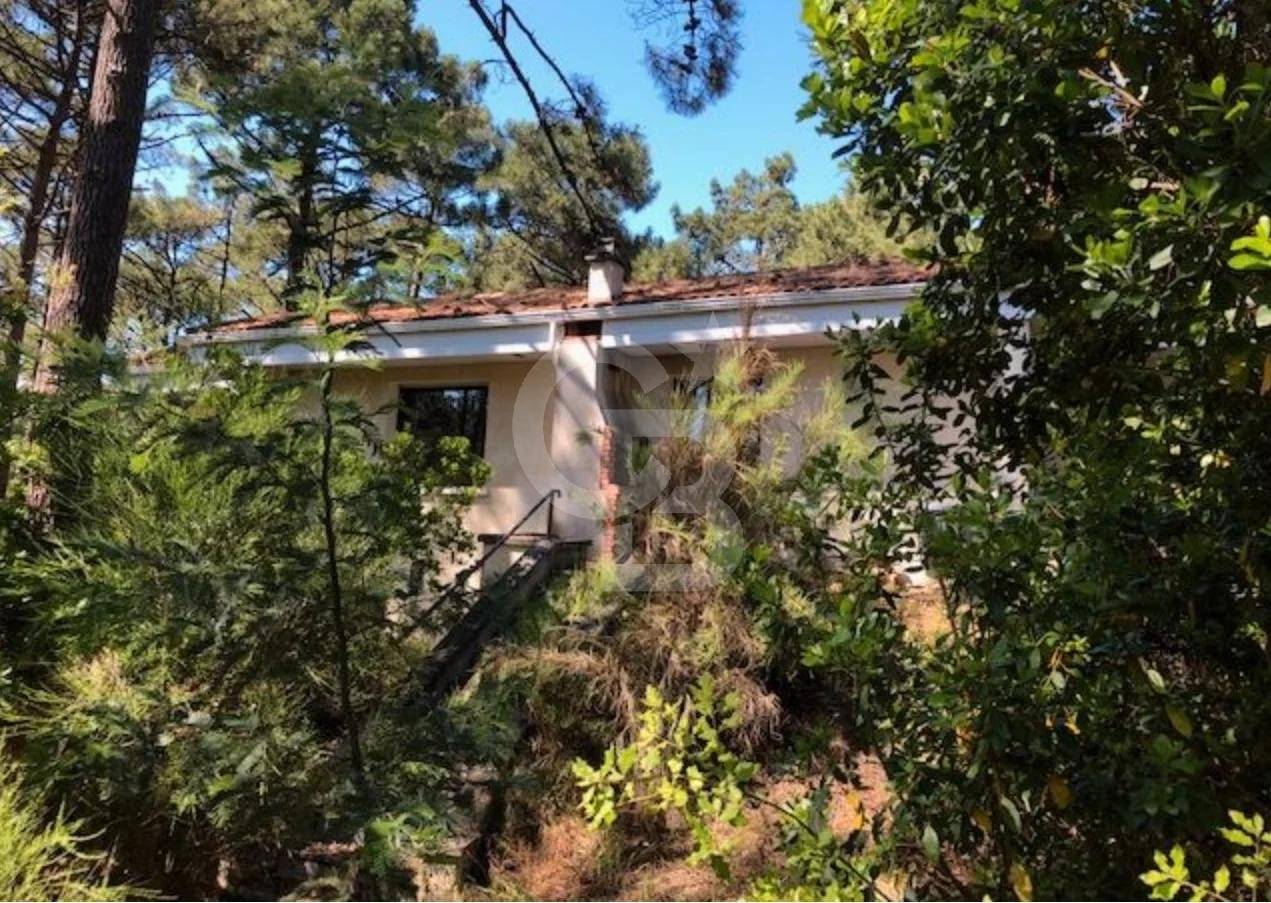 Maison à rénover sur un beau terrain arboré à vendre LÈGE CAP-FERRET VILLAGE DE L'HERBE