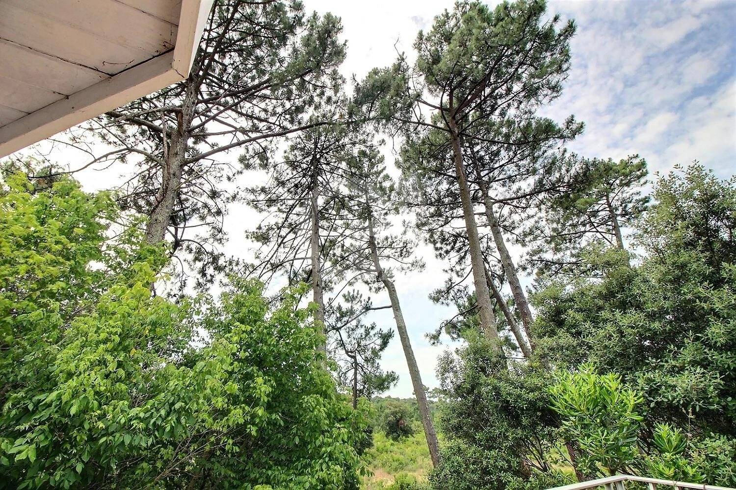 Belle villa au fort potentiel avec grand jardin à vendre PYLA-SUR-MER