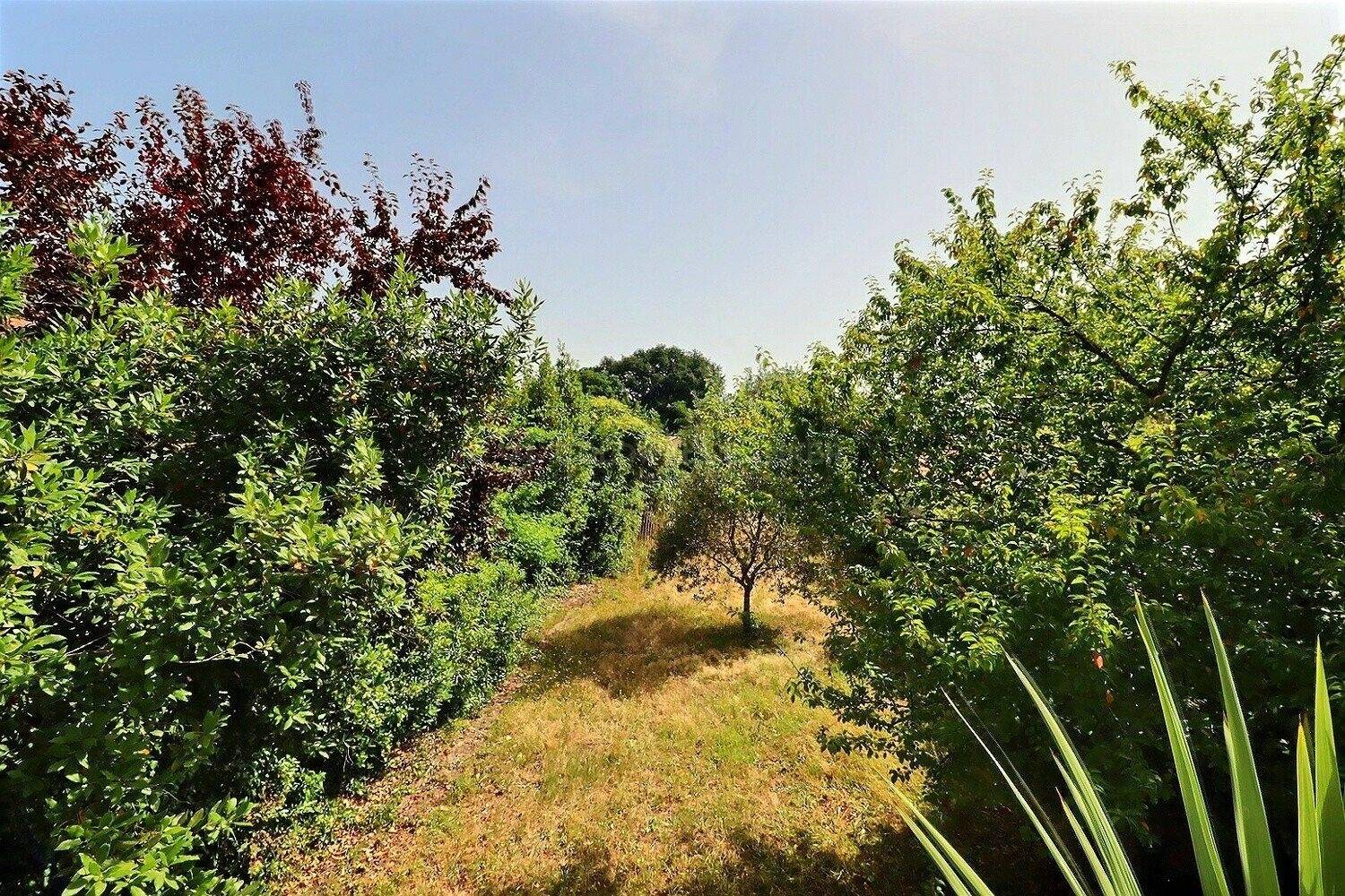 Maison à rénover avec projet d'architecte - Andernos-les-Bains Centre ville