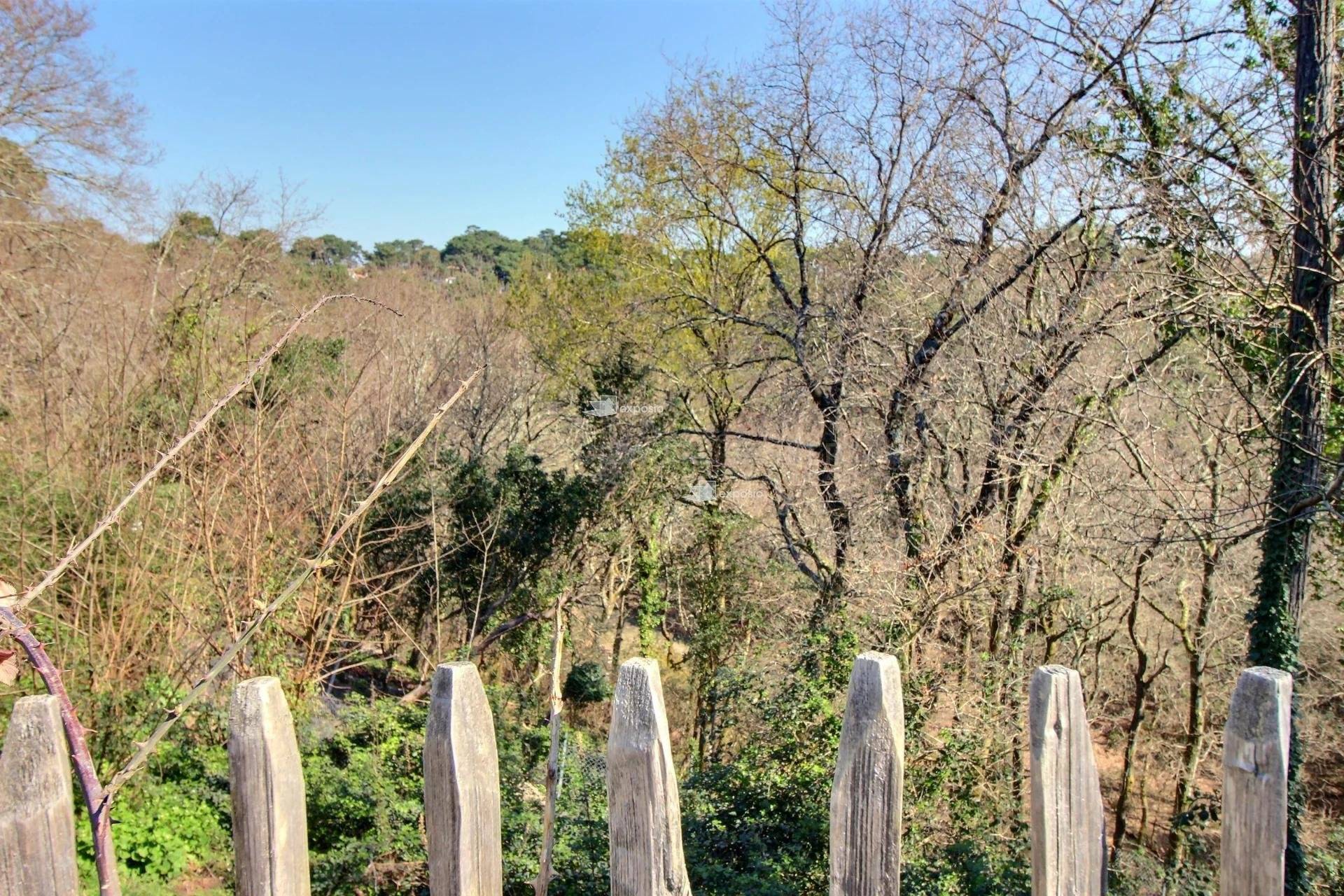 Villa d'exception à vendre PYLA-SUR-MER