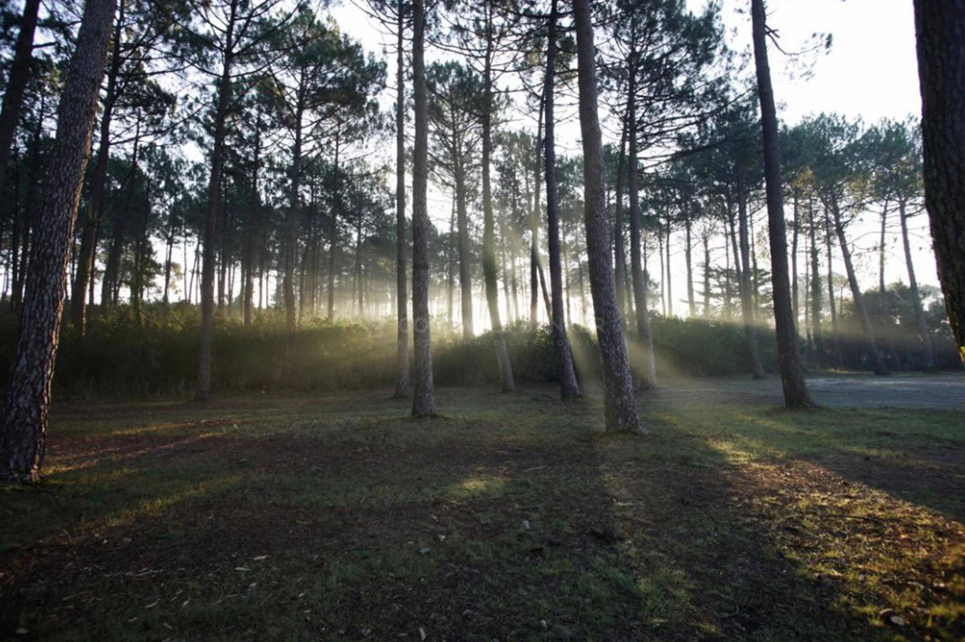 Grand terrain constructible à vendre ANDERNOS-LES-BAINS