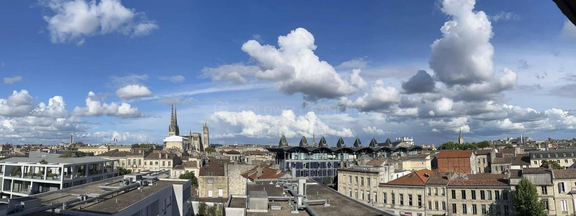 Appartement familial avec vue d'exception à vendre BORDEAUX