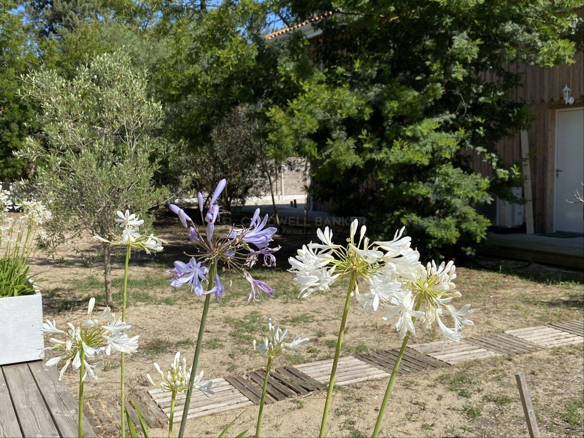 Propriété exceptionnelle avec deux villas proche plage et centre - Cap Ferret