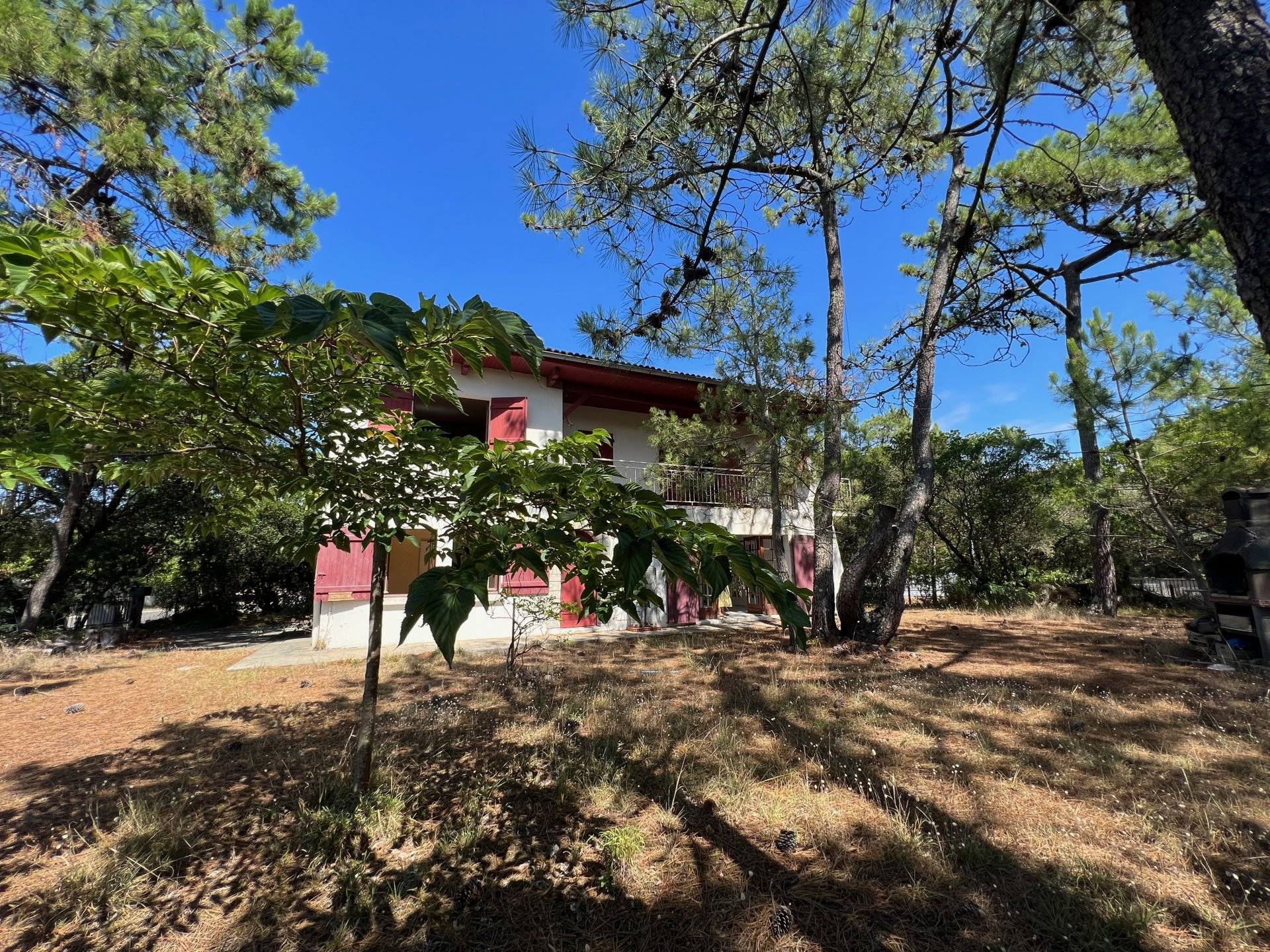 Villa avec grand terrain proche océan - Cap Ferret