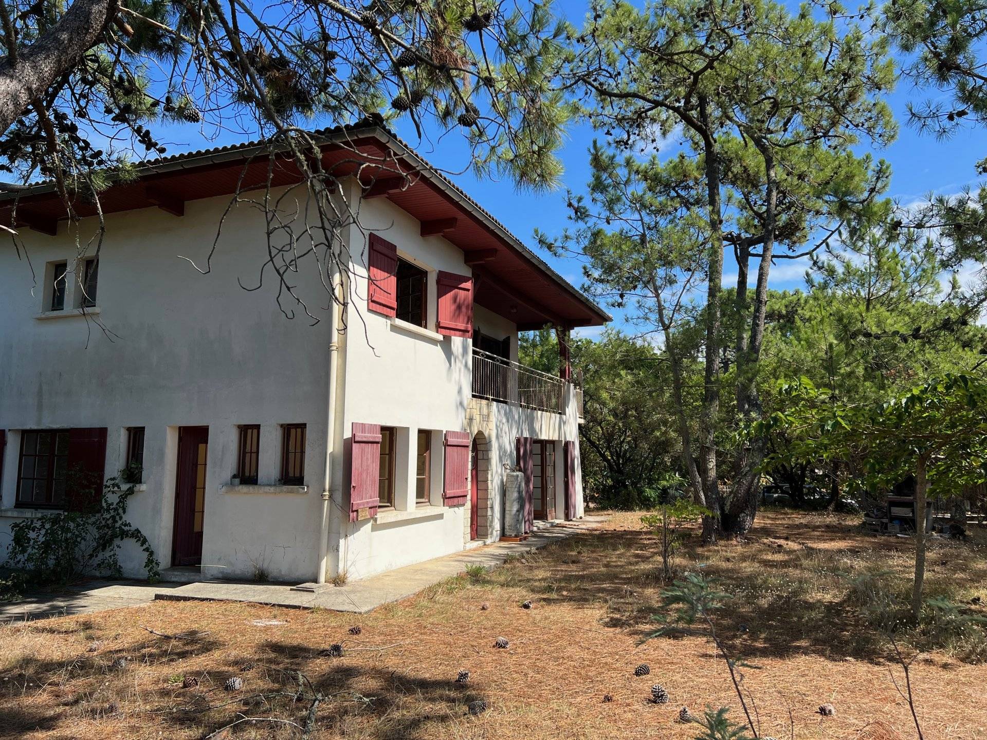 Villa avec grand terrain proche océan - Cap Ferret