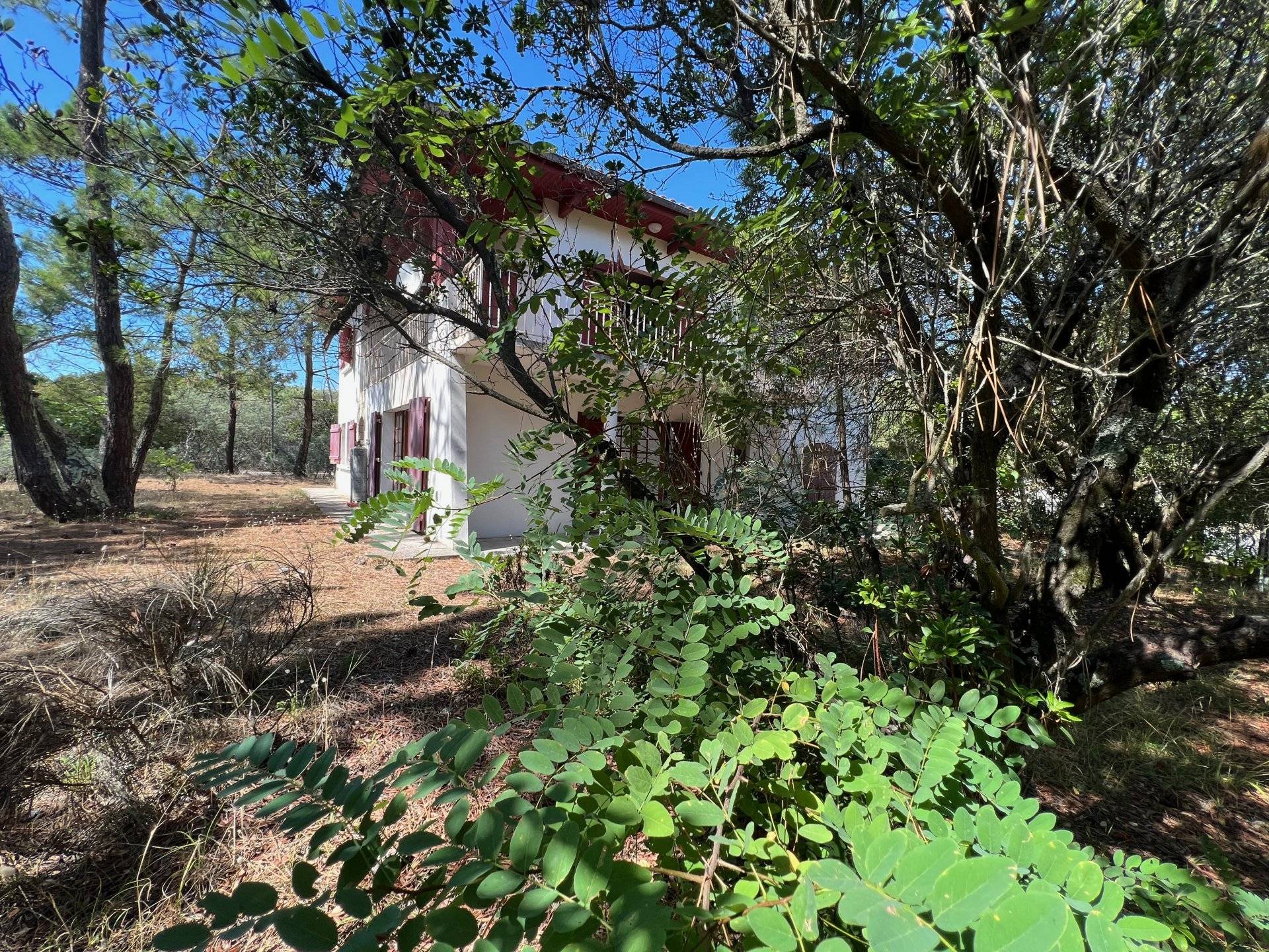 Villa avec grand terrain proche océan - Cap Ferret