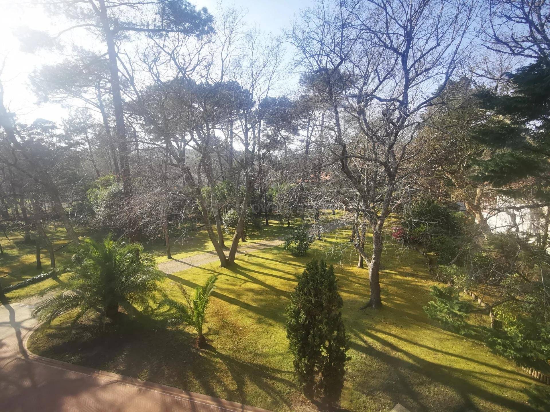 Propriété basco landaise exceptionnelle - Soorts-Hossegor