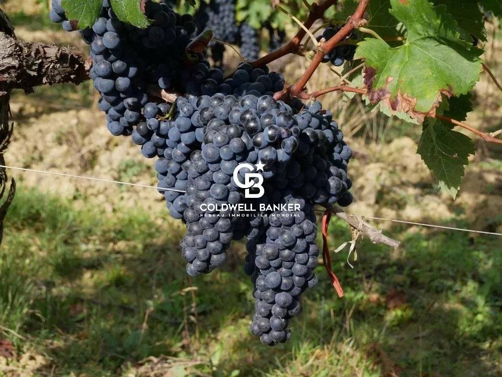 Domaine viticole du 18ème siècle sur 27 ha Pugnac - Proche Rive Droite Bordeaux