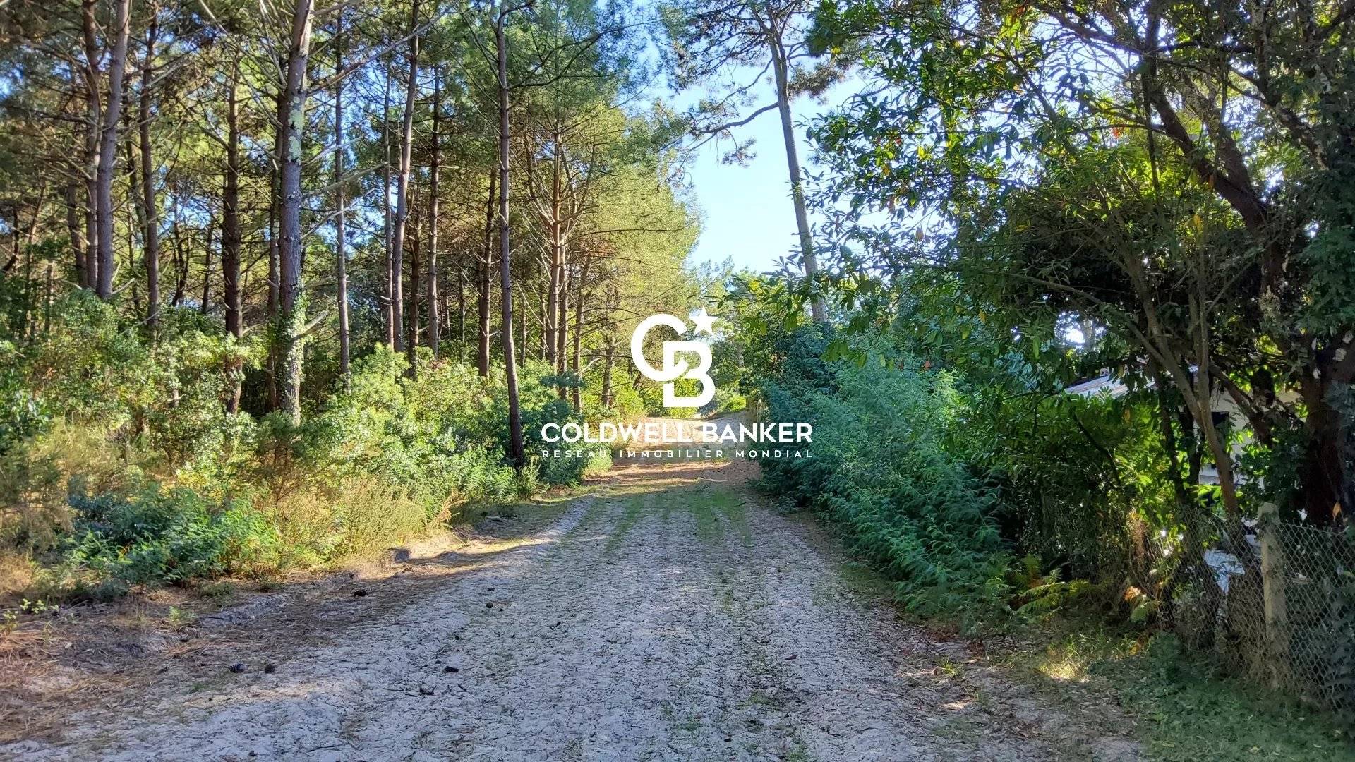 Maison individuelle avec grand terrain arboré Biscarrosse Plage