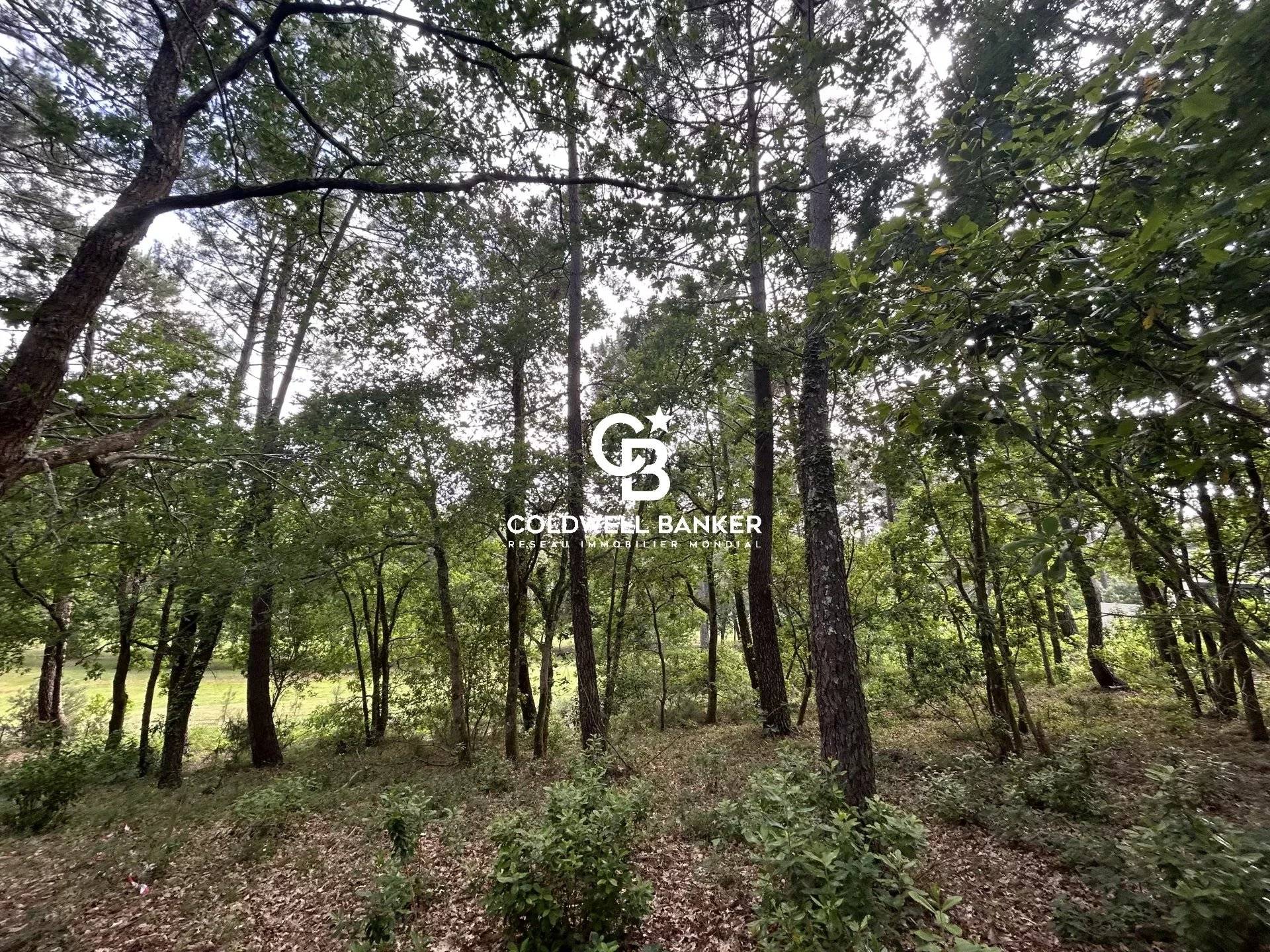 Grand terrain constructible - Golf de Biscarrosse