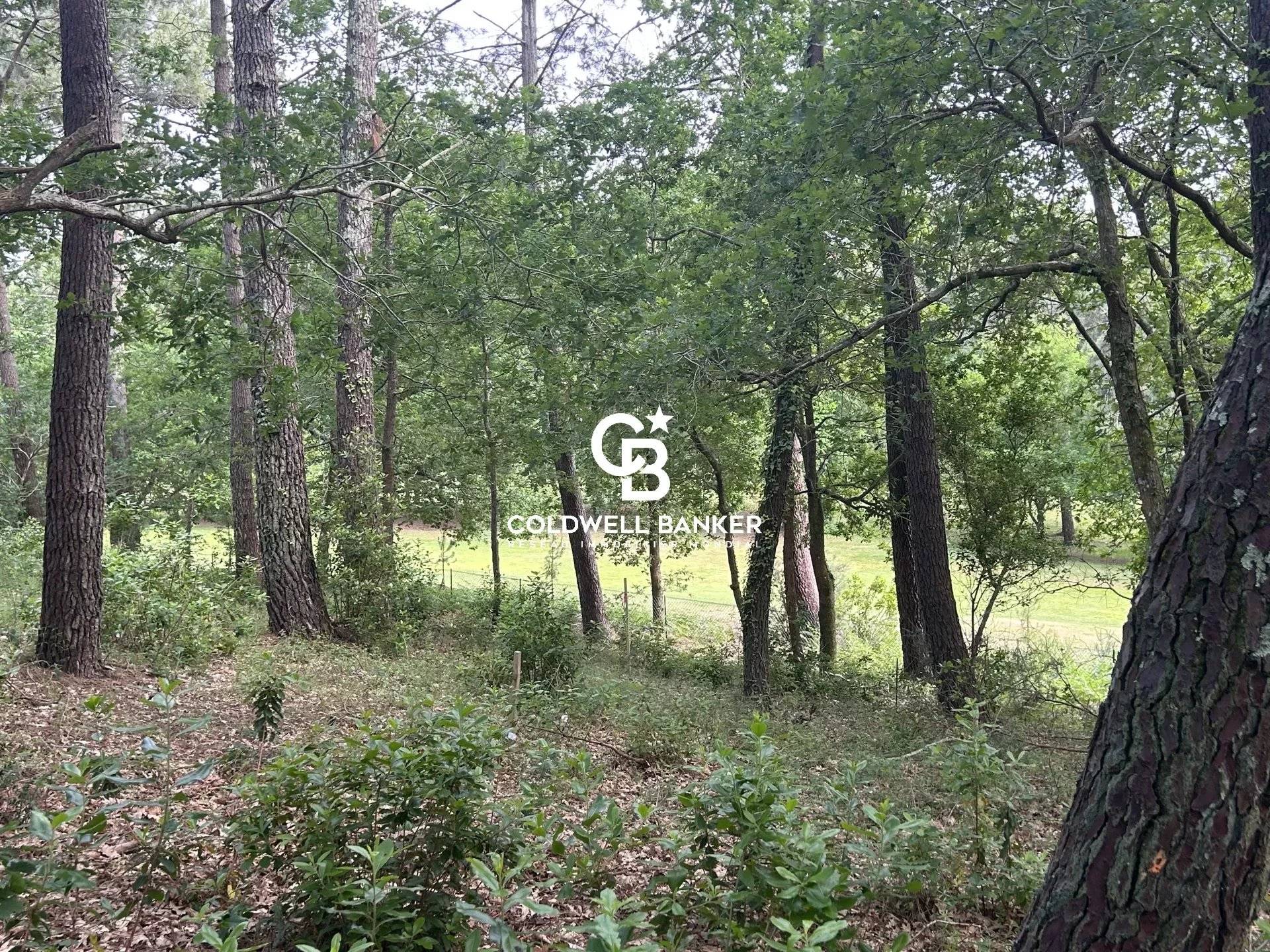 Grand terrain constructible - Golf de Biscarrosse