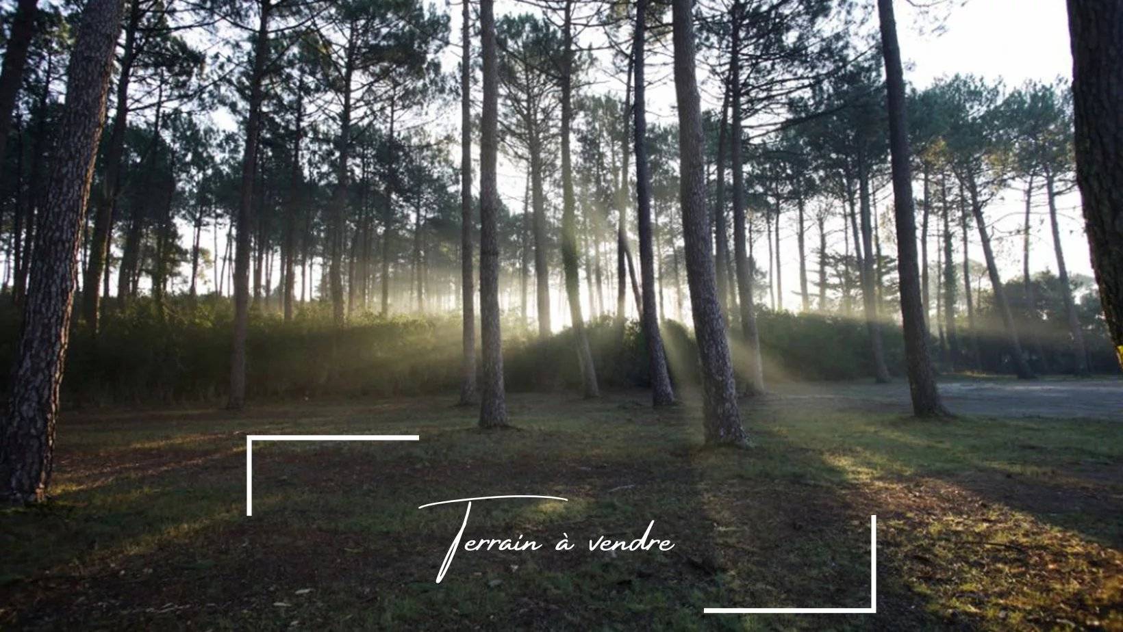 Terrain constructible viabilisé pour projet de construction - Andernos-les-Bains