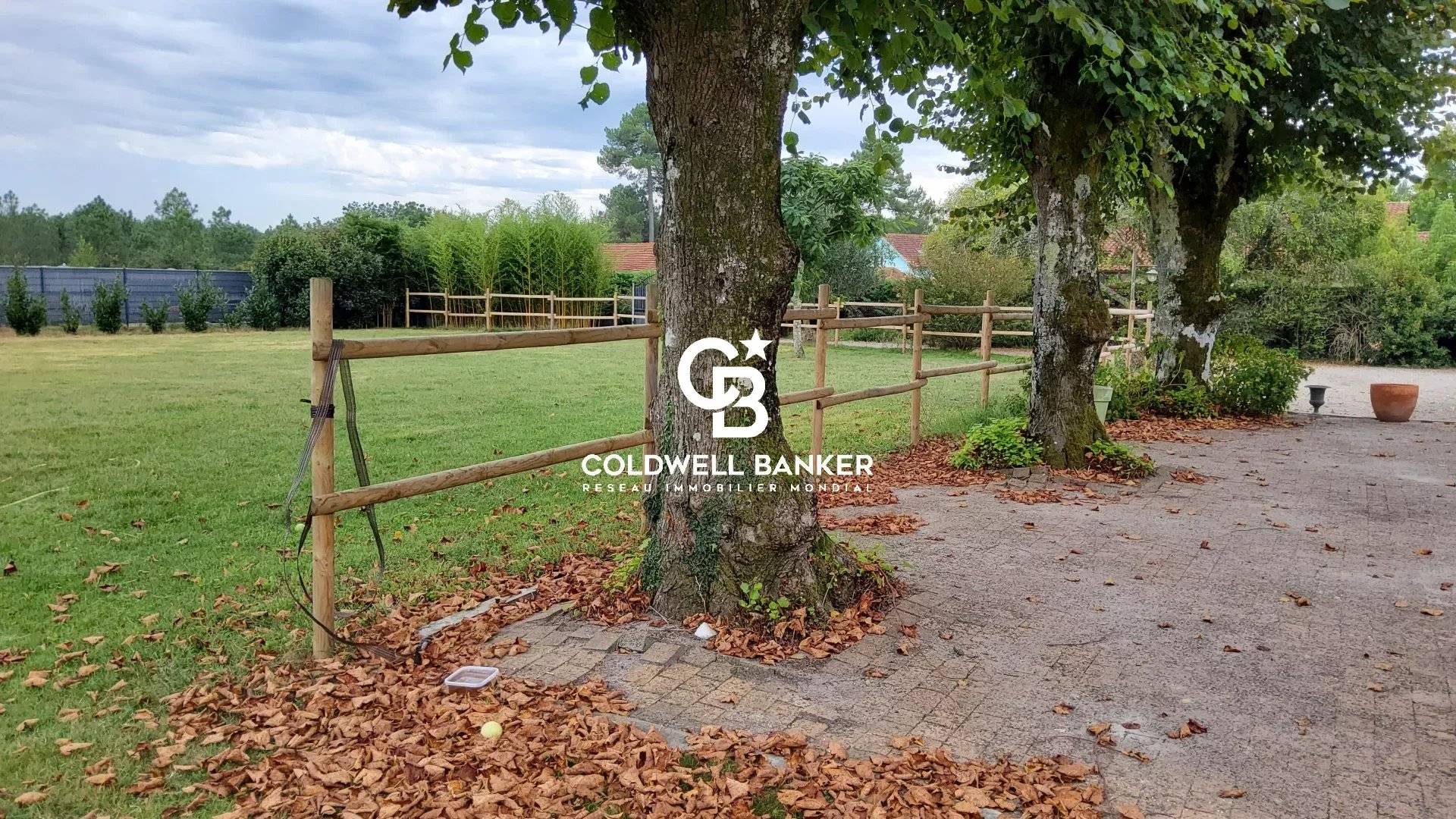 Propriété équestre avec carrière et piscine Parentis-en-Born