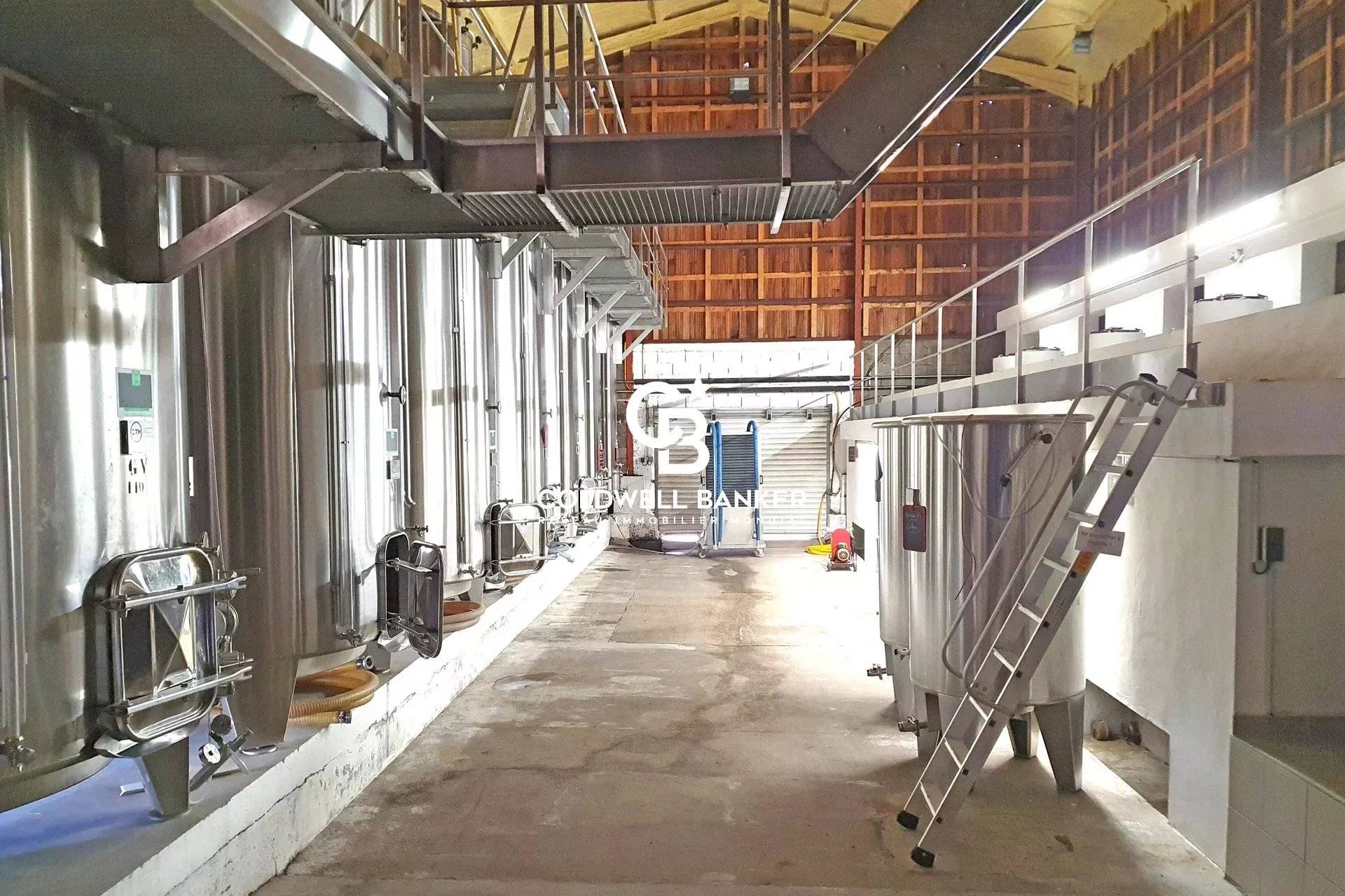 Propriété viticole bio à vendre près de Bordeaux - Vignoble AOC Monbazillac et Bergerac