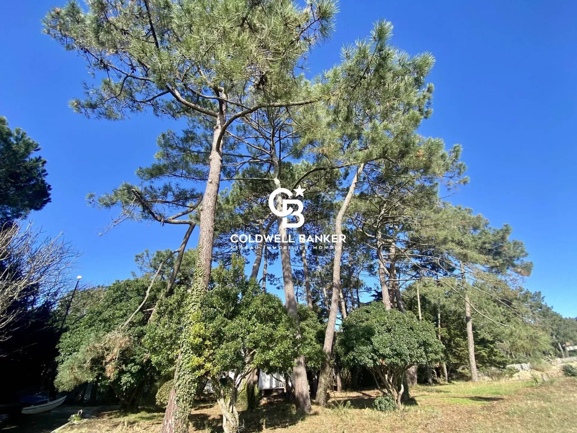 Magnifique villa en première ligne au Cap Ferret
