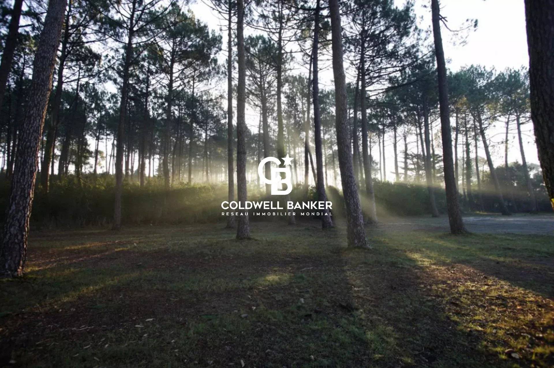 Maison à rénover avec dépendance et grand terrain à Andernos-les-Bains