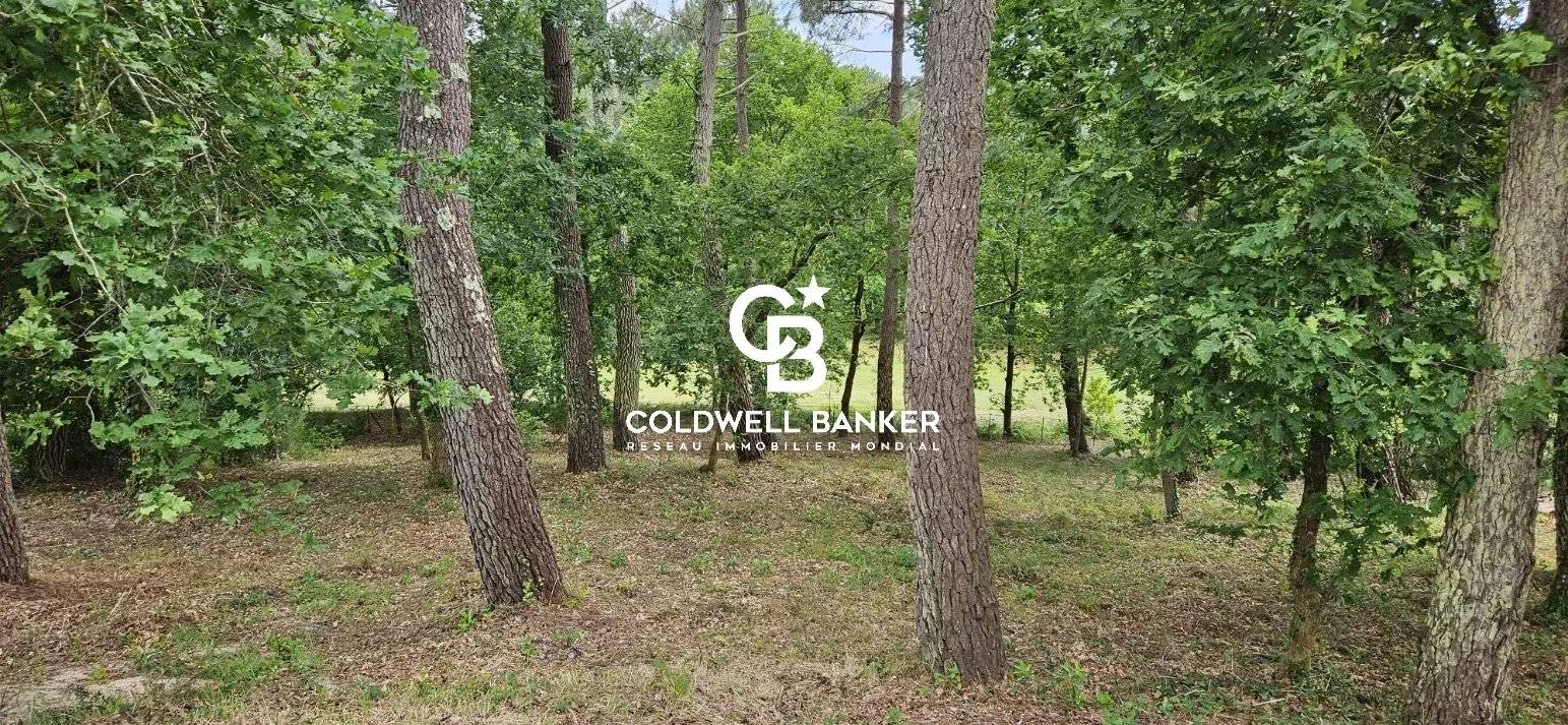 Terrain constructible avec vue sur le Golf de Biscarrosse
