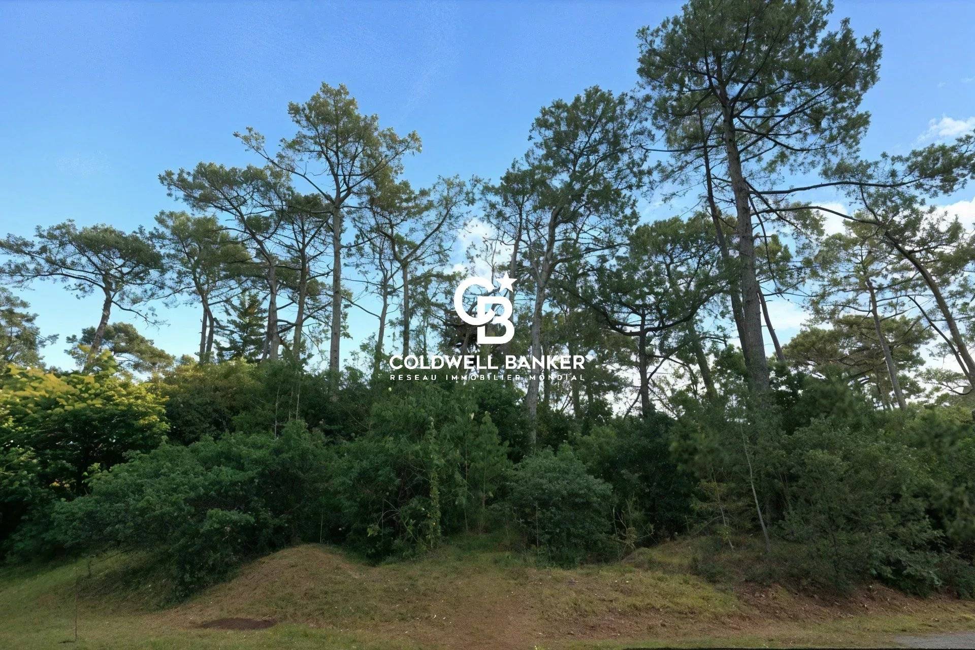 Terrain à vendre au Cap Ferret Petit Piquey – 1088 m² proche plage et commerces