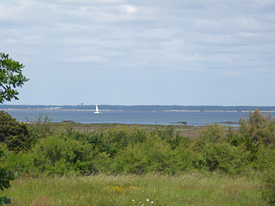 acheter villa 3 chambres avec vue bassin Arcachon