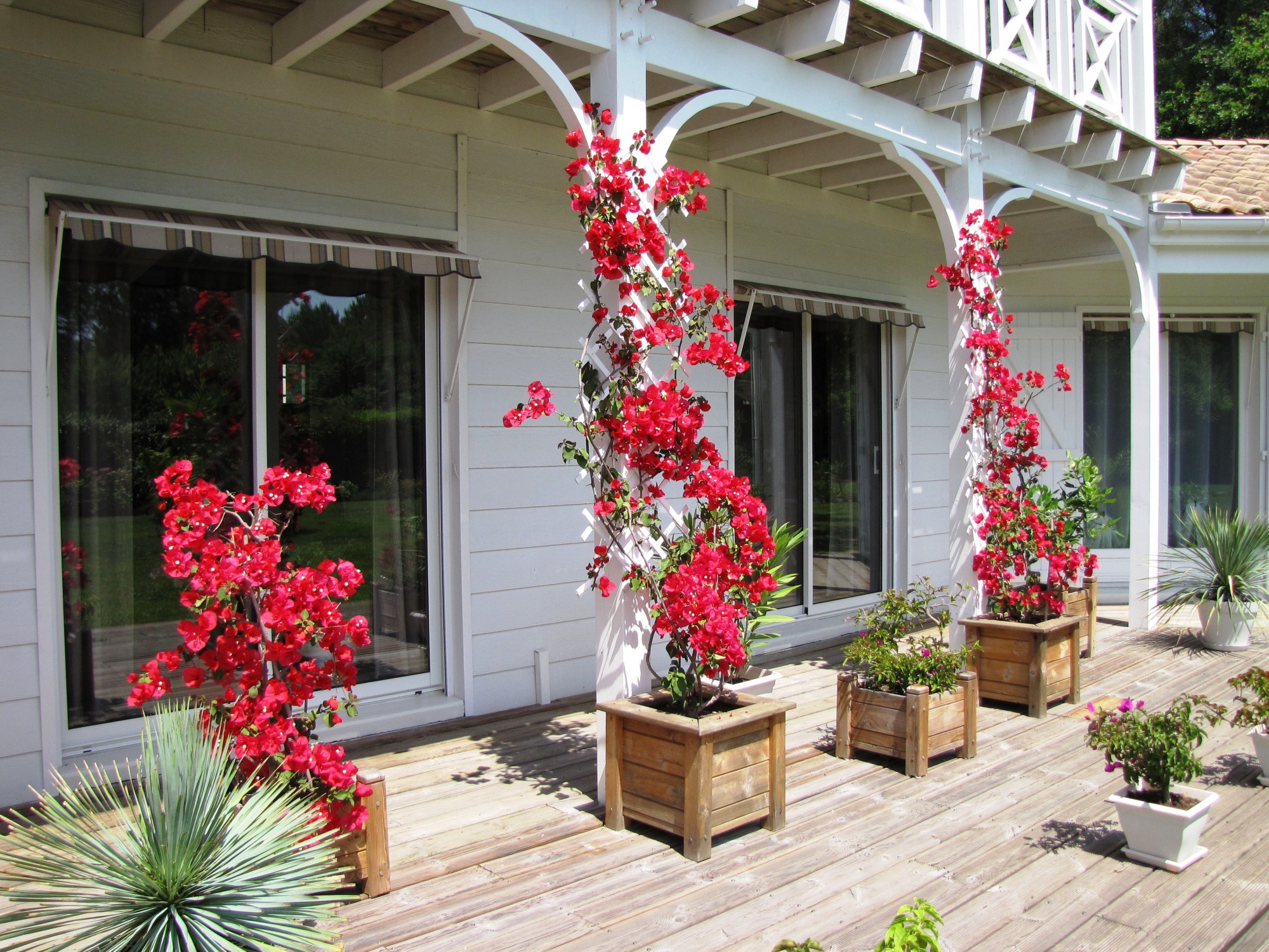 villa bassin d'arcachon avec piscine