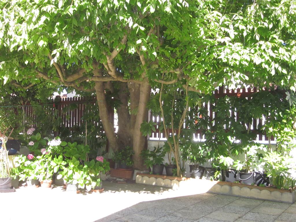 achat  maison prix attractif bassin d'arcachon