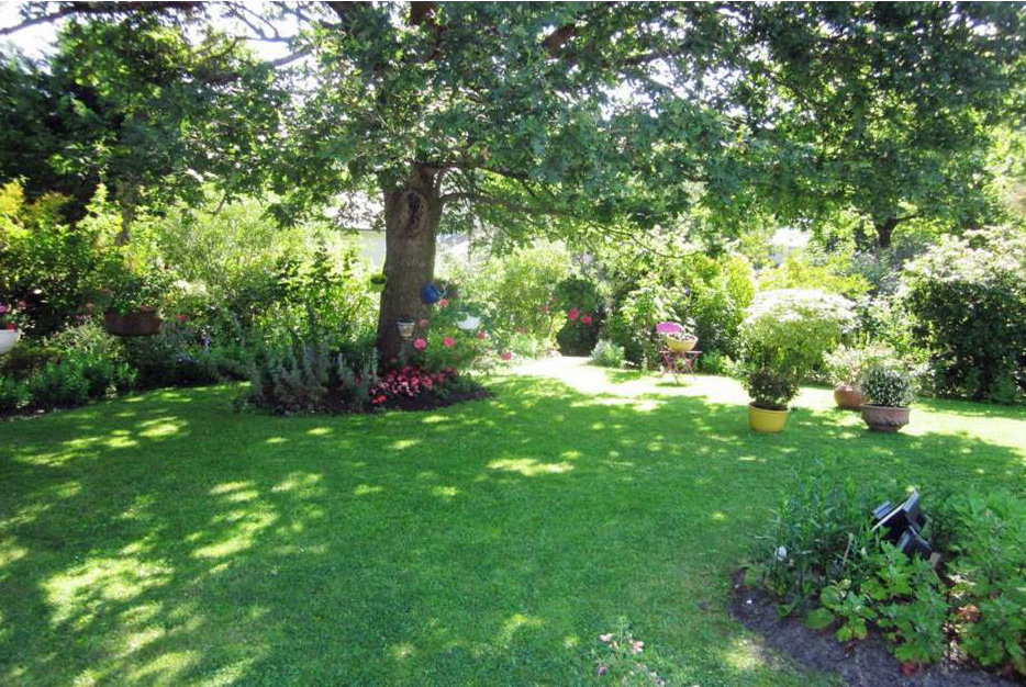 Pyla sur mer Jardin arboré calme