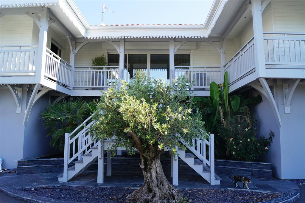 à vendre villa d'architecte bassin d'arcachon