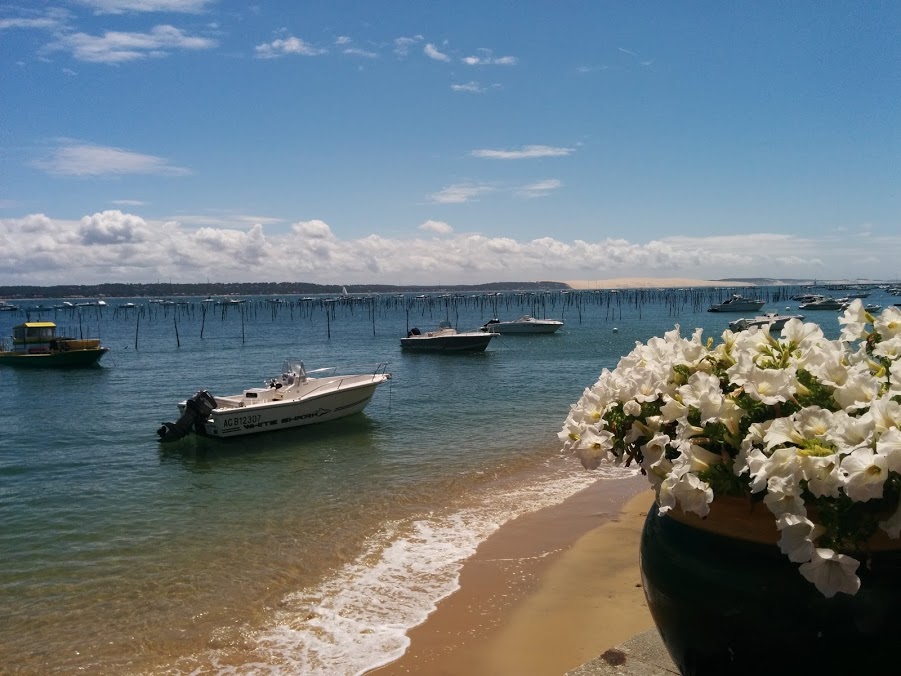 appartement cap ferret avec vue mer
